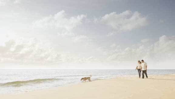 Caucasian couple walking dog on beach - BLEF13161