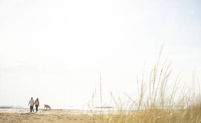 Kaukasisches Paar geht mit Hund am Strand spazieren - BLEF13162