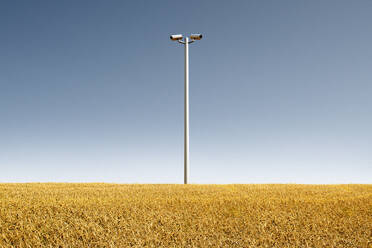 Niedrigwinkelansicht von Überwachungskameras in einem Getreidefeld - BLEF13175