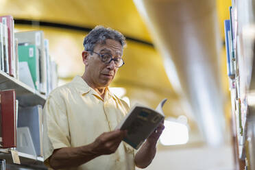 Älterer kaukasischer Mann liest ein Buch in einer Bibliothek - BLEF13336