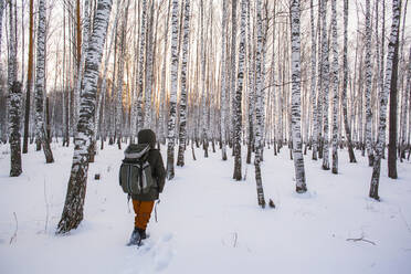 Gemischtrassiger Mann geht im verschneiten Wald spazieren - BLEF13389