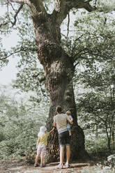 Mother with two daughters admiring big tree in a forest - DWF00458