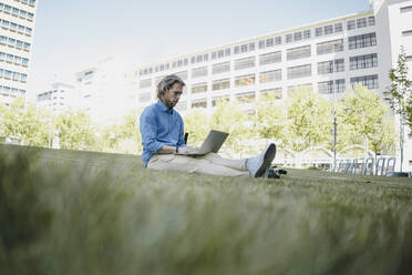 Young man sitting on a meadow using laptop - KNSF06157