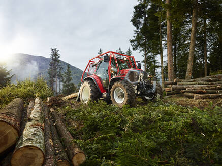 Traktor schleppt Baumstämme in einem Wald, Kolsass, Tirol, Österreich - CVF01431