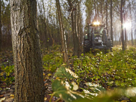 Traktor in einem verregneten Wald, Kolsass, Tirol, Österreich - CVF01432