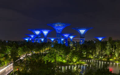 Gardens by the Bay mit Supertree Grove und Skywalk bei Nacht, Singapur - HSIF00724