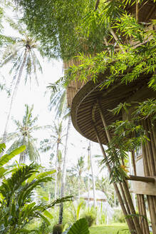 Baumhaus im tropischen Garten - BLEF13585