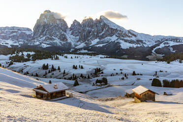 Idyllic shot of snow covered Seiser Alm during sunrise, Italy - WPEF01670