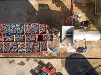 KAGADI, GREECE - SEPTEMBER 2018: Aerial view of men loading grape press in local farm, Greece. - AAEF00131