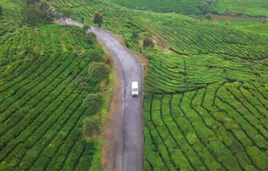 Luftaufnahme eines weißen Lieferwagens, der durch die Teeplantagen von Rancabali im Westen der Insel Java, Indonesien, fährt. - AAEF00330
