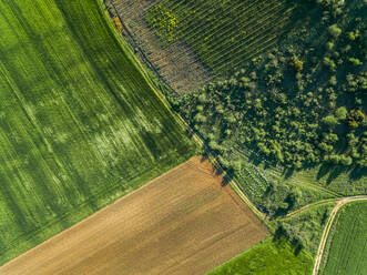 Ariel view of agricultural fields at beautiful Karditsa region in Greece - AAEF00597