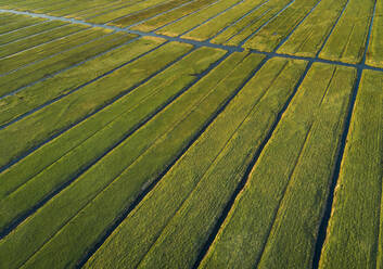 Aerial view of farming fields with canal in the countryside of Vinkeveen, the Netherlands. - AAEF00681