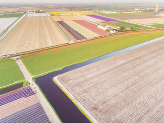 Erstaunliche Luftaufnahme der schönen bunten Tulpenfelder in Lisse, Niederlande - AAEF00693