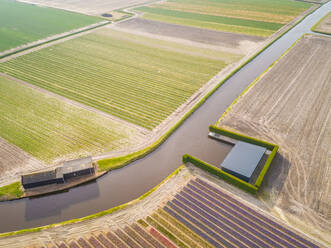 Luftaufnahme eines Kanals inmitten der wunderschönen Tulpenfelder des Keukenhofs in Lisse, Niederlande - AAEF00695