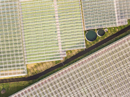 Abstraktes Luftbild von Gewächshäusern auf einem Bauernhof. - AAEF00807