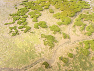 Abstrakte Luftaufnahme der Lagune von Formosa in Portugal. - AAEF00822