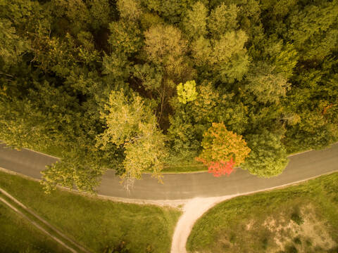 Aerial view of a forest on road side in countryside in Estonia. stock photo