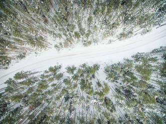 Aerial view of empty road in a snowy forest with green pines in estonia. - AAEF00963