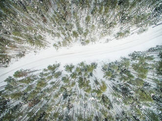 Luftaufnahme einer leeren Straße in einem verschneiten Wald mit grünen Kiefern in Estland. - AAEF00963