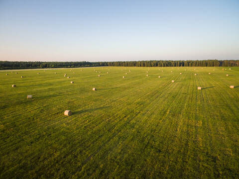 Luftaufnahme von Strohballen auf einer Wiese in der estnischen Landschaft., lizenzfreies Stockfoto