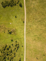 Luftaufnahme einer leeren geraden Straße auf dem Land in Estland. - AAEF01007
