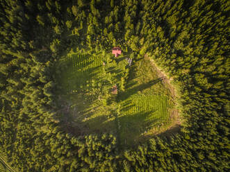 Aerial view of a farmland property isolated in the middle of the forest in Estonia. - AAEF01014