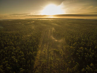 Luftaufnahme von Sonnenuntergangssonnenstrahlen, die durch den Wald in Estland laufen. - AAEF01022
