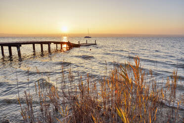 Panoramablick auf die Seebrücke über dem Ammersee, gesehen durch Pflanzen gegen den klaren Himmel bei Sonnenuntergang, Deutschland - RUEF02298