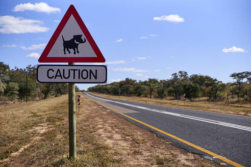 Warzenschwein Kreuzung Zeichen von Straße gegen Himmel, Mpumalanga, Südafrika - VEGF00447