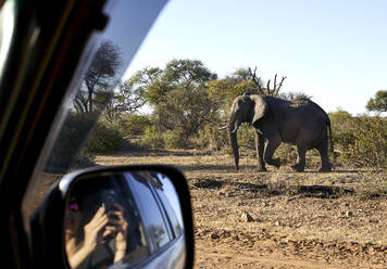 Woman reflecting on side-view mirror of car while taking pictures of elephant at Bwabwata National Park, Namibia - VEGF00475