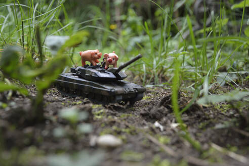 Nahaufnahme von Spielzeugtieren mit Panzer an Land gegen Pflanzen - AXF00831
