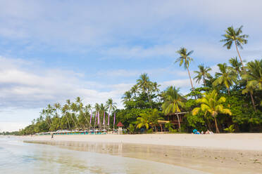 Bohol, Zentral-Visayas, Philippinen, Südostasien, Asien - RHPLF00029