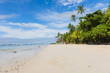 Bohol, Central Visayas, Philippines, Southeast Asia, Asia - RHPLF00035