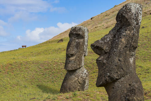 Moai-Köpfe der Osterinsel, Rapa Nui National Park, UNESCO Weltkulturerbe, Osterinsel, Chile, Südamerika - RHPLF00075