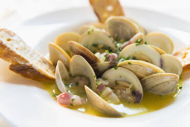 Bowl of clams with bread - BLEF13811