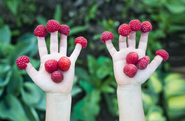 Nahaufnahme eines Kindes, das Himbeeren an den Fingern hält - BLEF13855