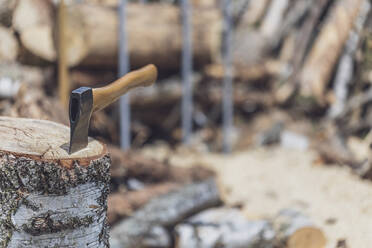 Axe in a tree trunk - MMAF01089