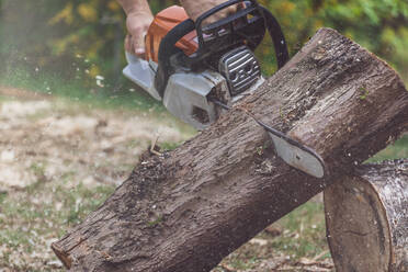 Man jointing a tree trunk with a motor saw - MMAF01095