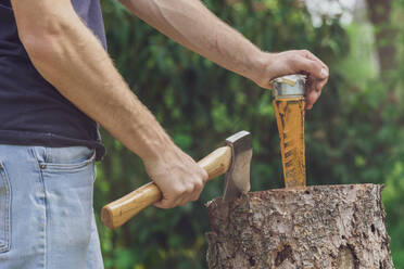 Man standing at a tree trunk holding an axe and a wedge - MMAF01096