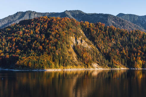 Blick auf den Sylvensteinsee gegen den Wald bei klarem Himmel im Herbst, Bayern, Deutschland - MMAF01100