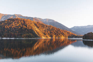 Blick auf den Sylvensteinsee am Waldrand bei klarem Himmel im Herbst, Bayern, Deutschland - MMAF01102