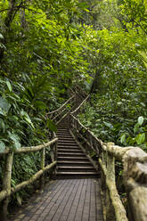 Stairs at La Fortuna Waterfall, La Fortuna, Costa Rica - MAUF02720