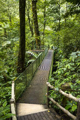 Trail at La Fortuna Waterfall, La Fortuna, Costa Rica - MAUF02722