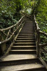 Stairs at La Fortuna Waterfall, La Fortuna, Costa Rica - MAUF02724