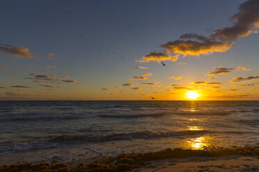 Blick auf den Strand von Miami in Florida, USA, bei Sonnenaufgang - MABF00543