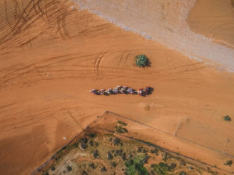 Aerial view of a camel race competition in the desert of Ras Al Khaimah, U.A.E. - AAEF01107