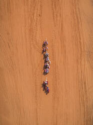 Luftaufnahme eines Kamelrennens in der Wüste von Ras Al Khaimah, V.A.E. - AAEF01109