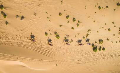 Luftaufnahme von Menschen auf Kamelen in der Wüste von Al Khatim in Abu Dhabi, Vereinigte Arabische Emirate. - AAEF01136