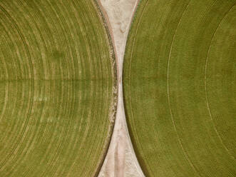 Aerial view of a car driving in between two agricultural circles in the middle of the Saih Al Salam Desert in Dubai, U.A.E. - AAEF01138