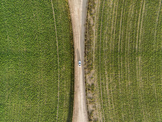 Aerial view of a car driving in between two agricultural circles in the middle of the Saih Al Salam Desert in Dubai, U.A.E. - AAEF01139